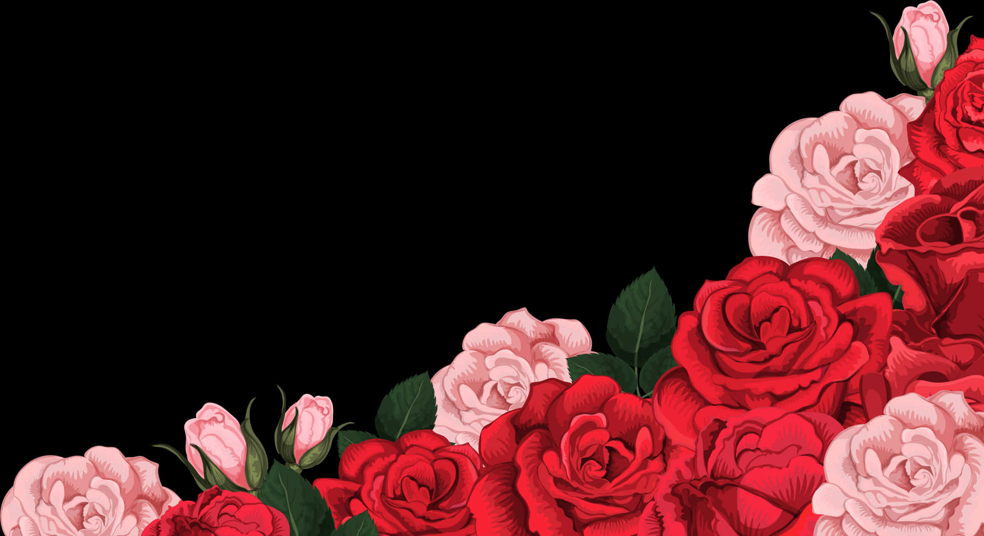 Redand Pink Roseson Black Background PNG Image