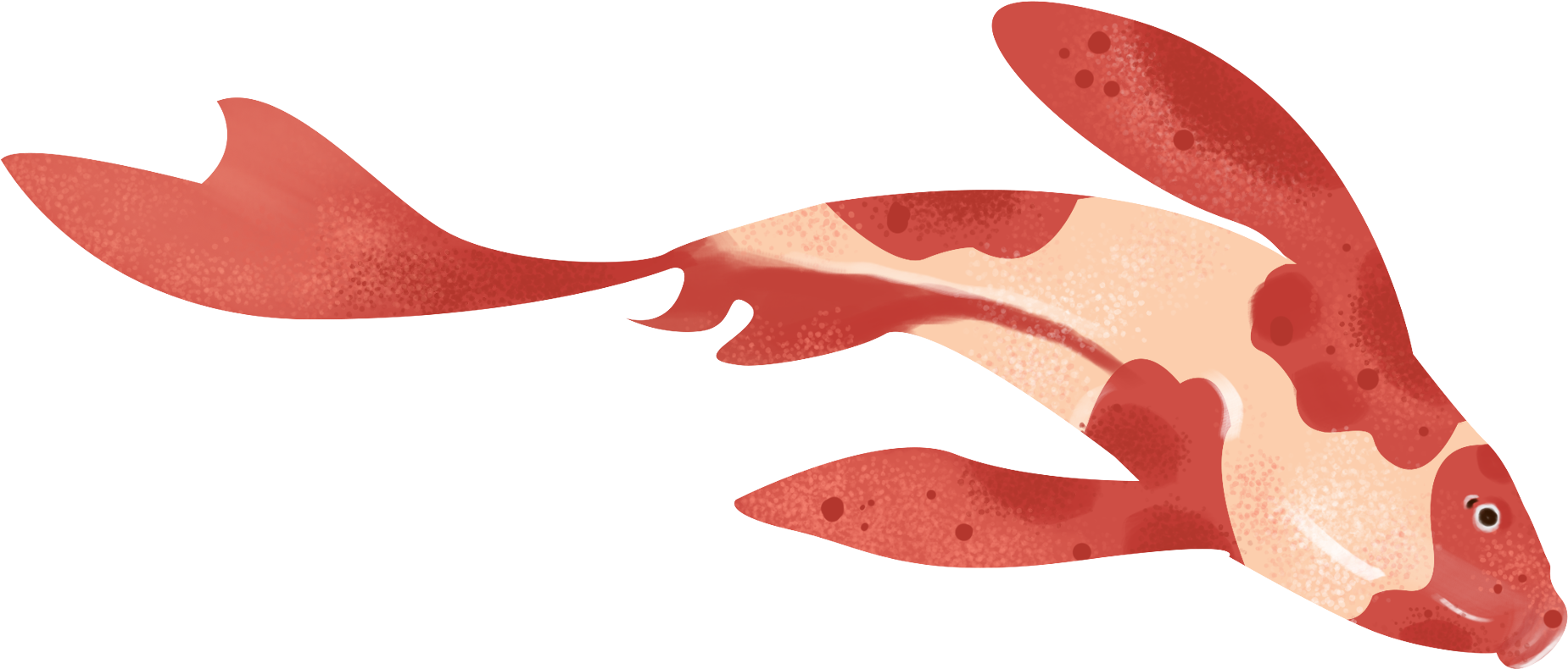 Redand White Koi Fish Illustration PNG Image