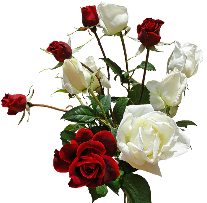 Redand White Roses Bouquet PNG Image