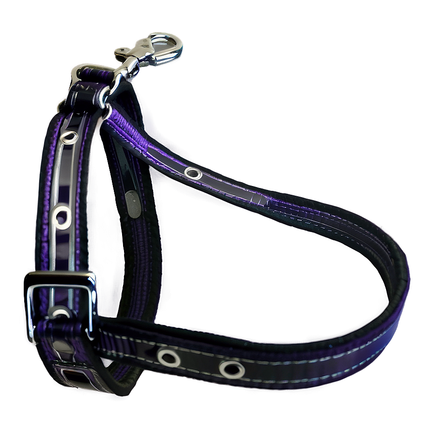 Reflective Dog Leash Png 06132024 PNG Image