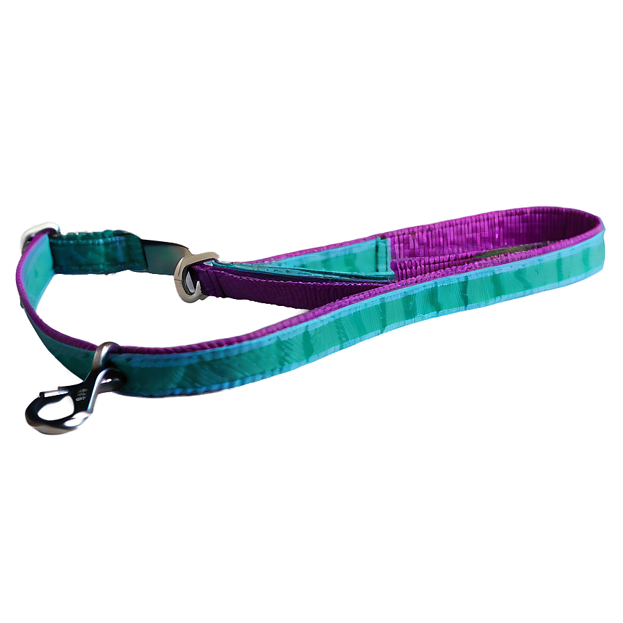 Reflective Dog Leash Png 93 PNG Image