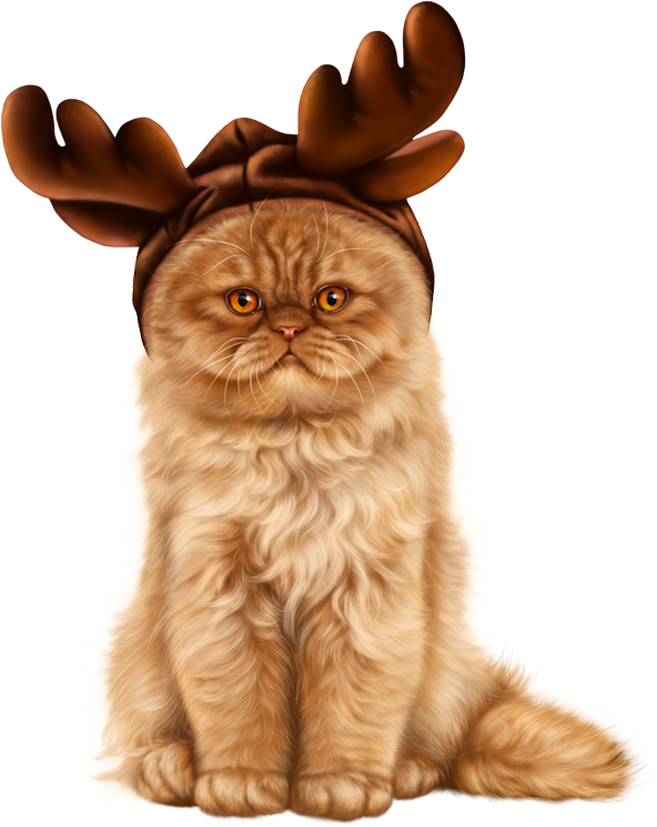 Reindeer Costume Cat PNG Image