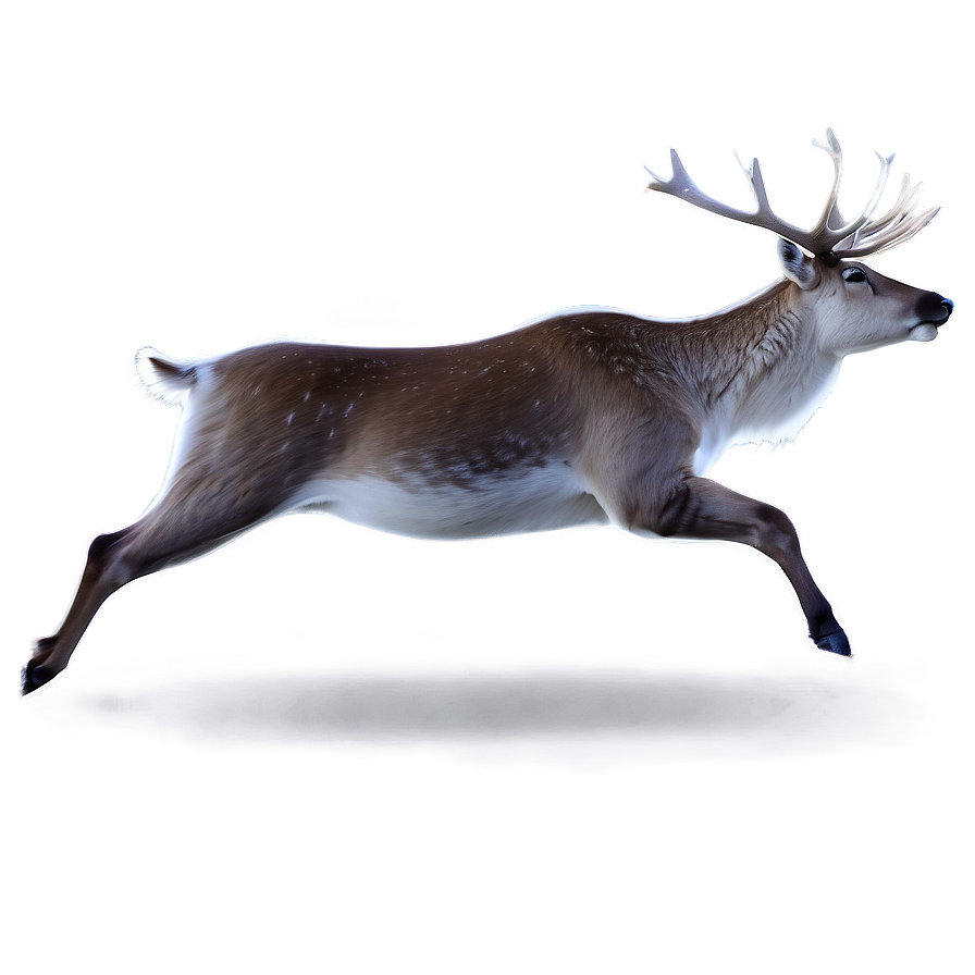 Reindeer In Snow Png 46 PNG Image