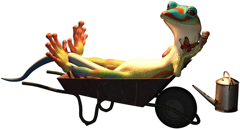 Relaxed_ Gecko_in_ Wheelbarrow.png PNG Image