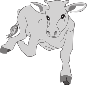 Resting Calf Illustration PNG Image