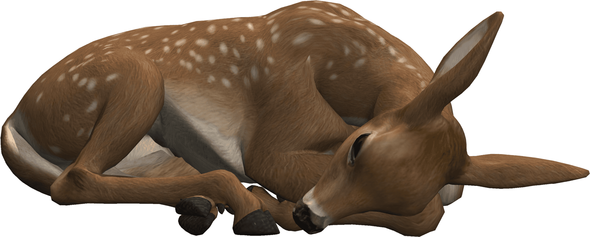 Resting Fawn3 D Model.png PNG Image