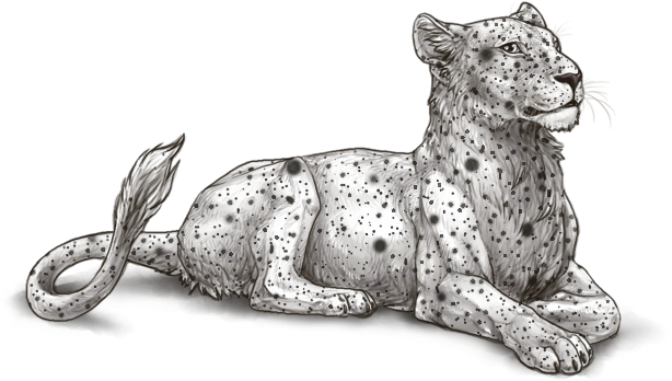 Resting Lioness Sketch.png PNG Image