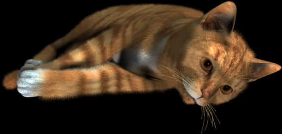 Resting Orange Tabby Cat Black Background PNG Image