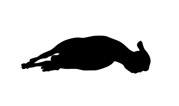 Resting Sheep Silhouette PNG Image