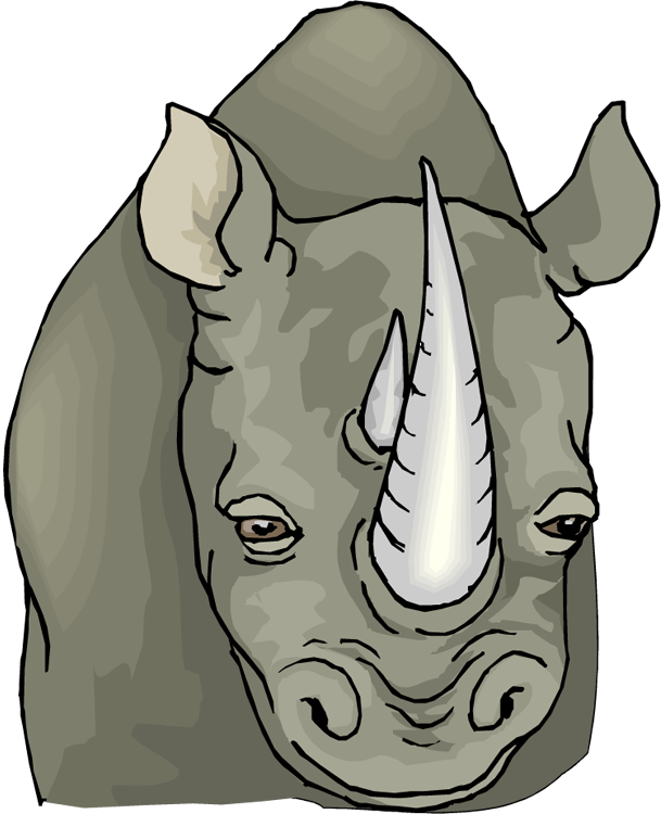 Rhinoceros Portrait Illustration PNG Image