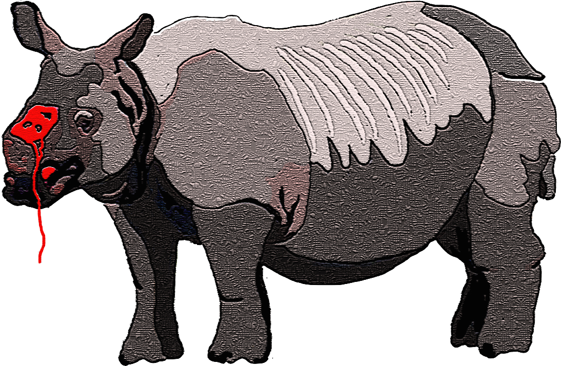 Rhinoceroswith Butterflyon Nose PNG Image