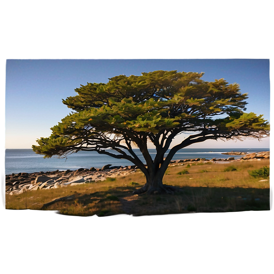 Rhode Island Sunset View Png 98 PNG Image