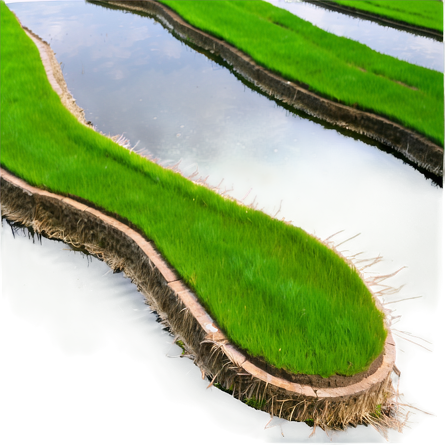 Rice Terraces Png Sma PNG Image