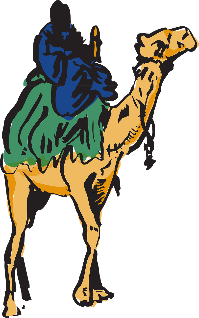 Rider_on_ Camel_ Illustration.png PNG Image