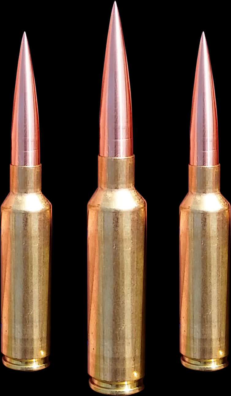 Rifle Ammunition Trio PNG Image