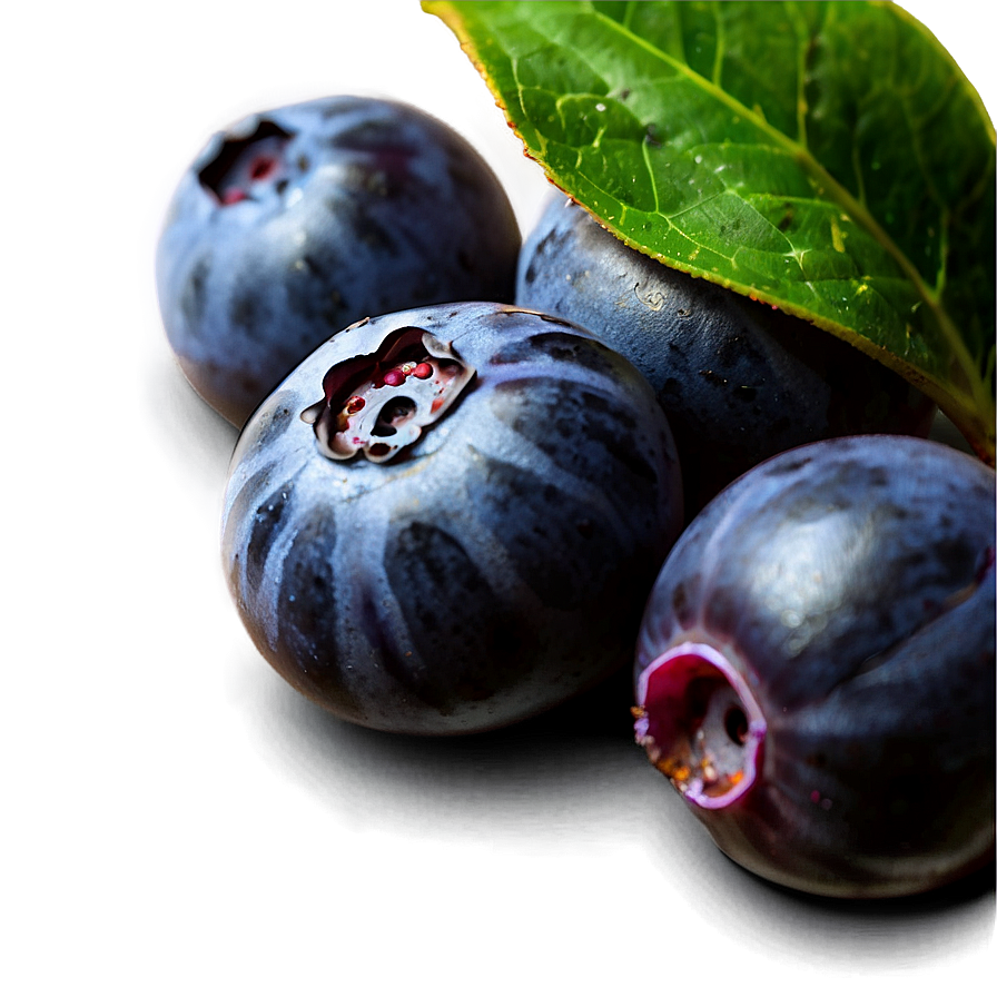 Ripe Blueberries Png 38 PNG Image