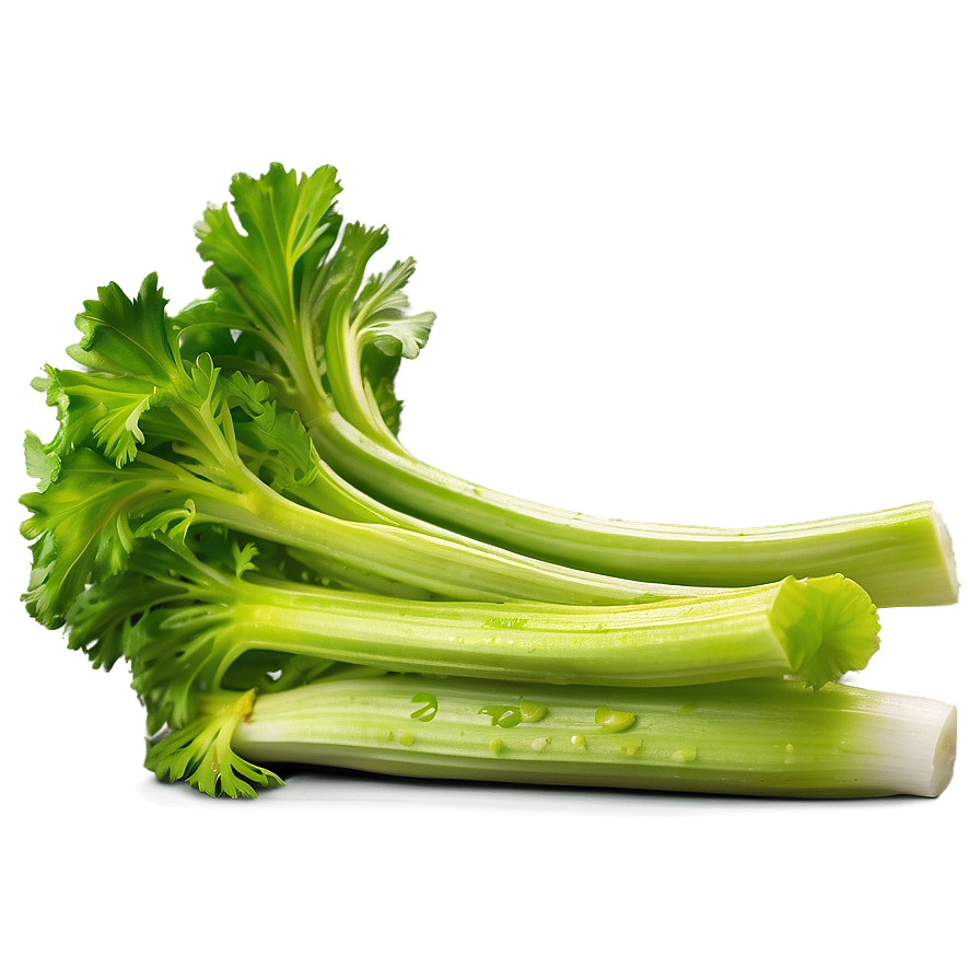 Ripe Celery Png 06252024 PNG Image