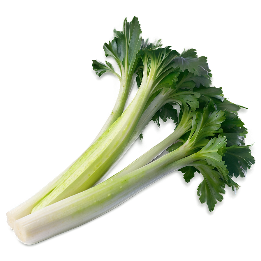 Ripe Celery Png Kgt PNG Image