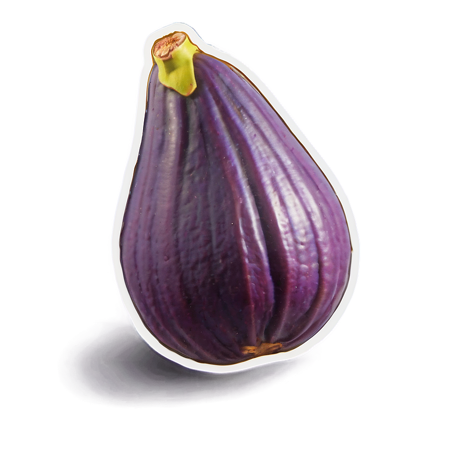 Ripe Fig Illustration Png 06202024 PNG Image