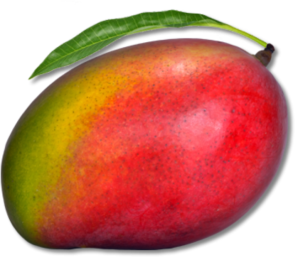 Ripe Mango With Leaf PNG Image