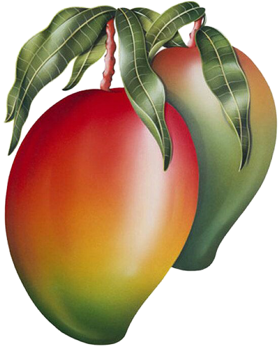 Ripe Mango With Leaves PNG Image