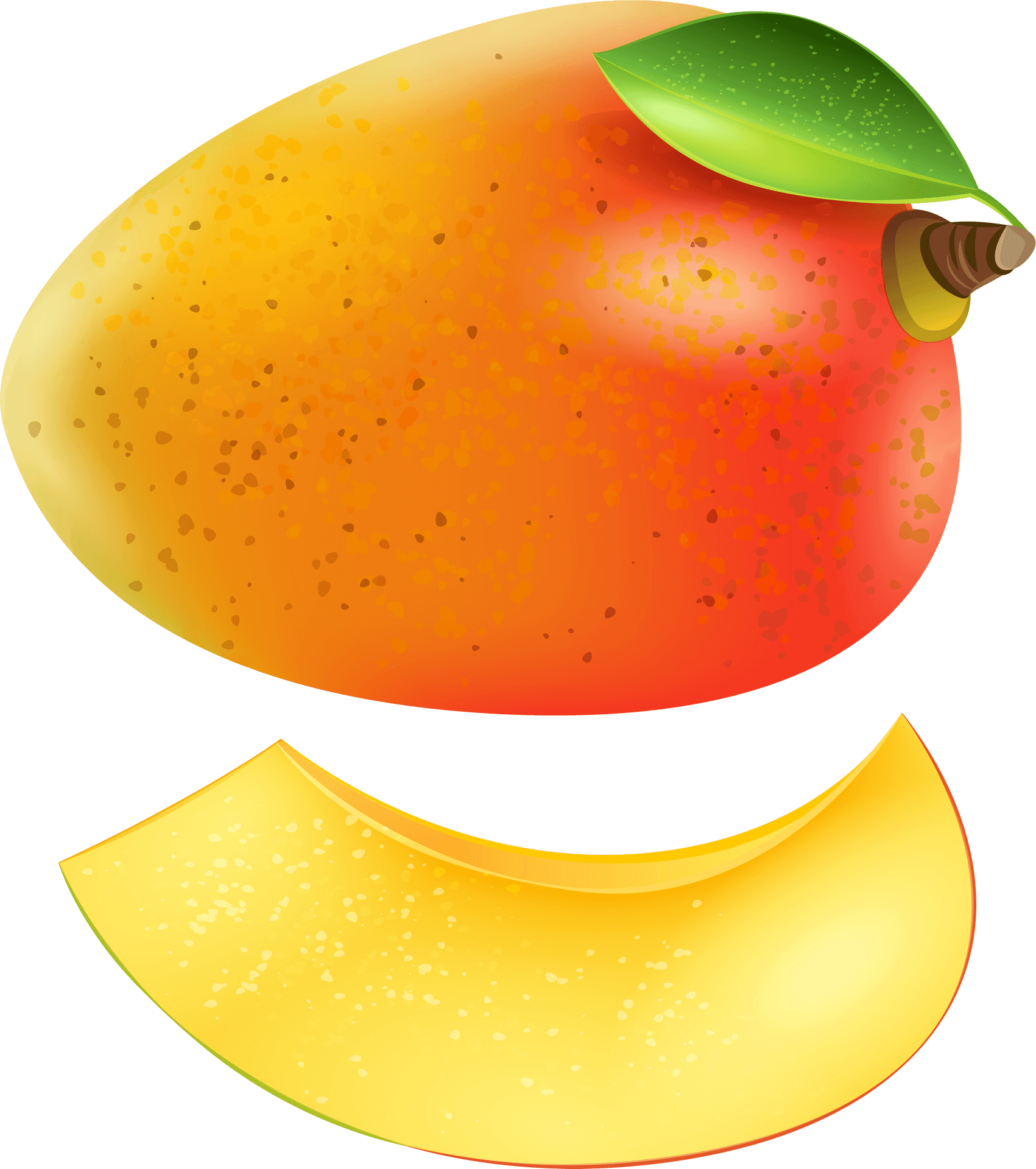 Ripe Papayaand Slice Illustration PNG Image