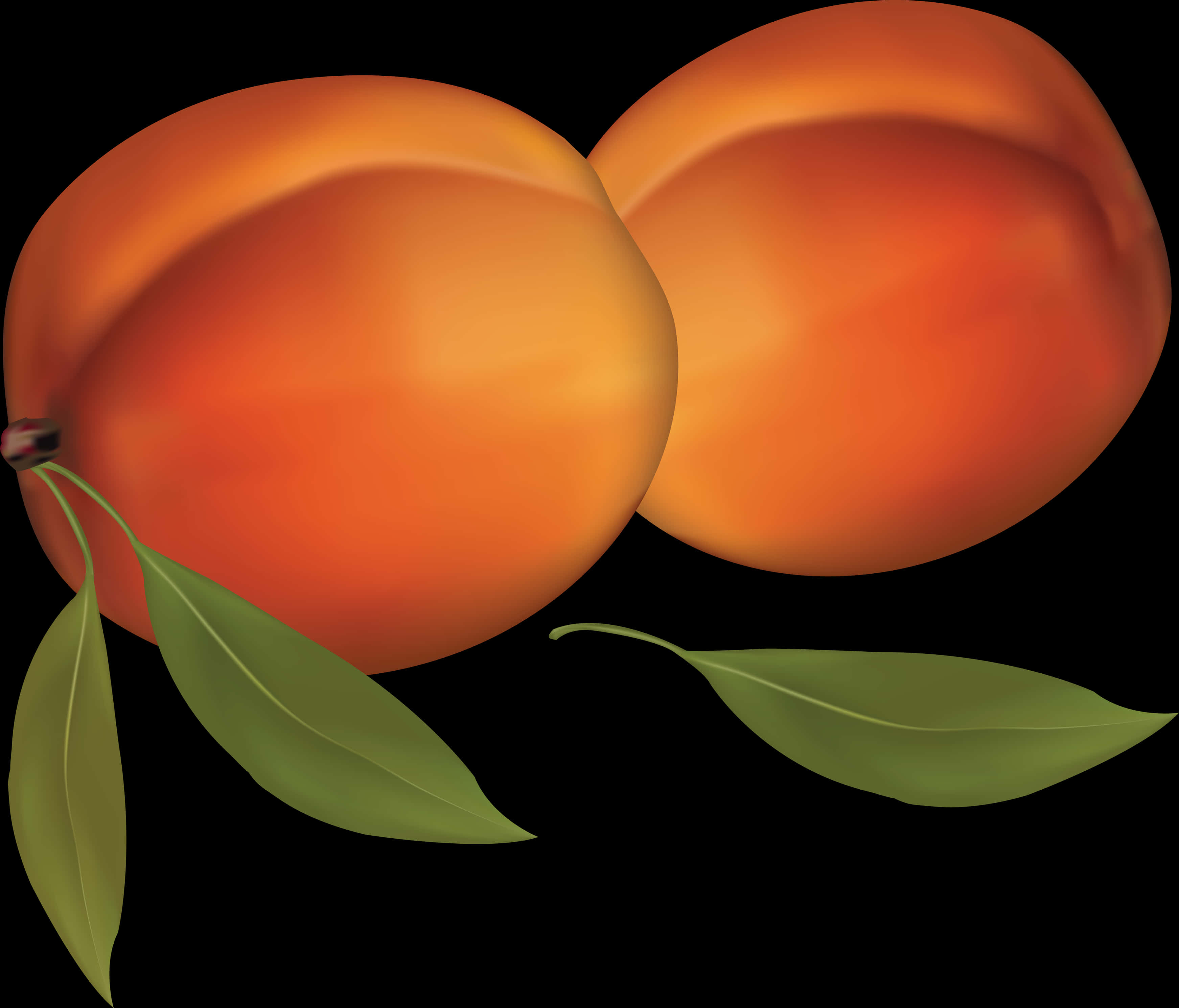 Ripe Peaches Illustration PNG Image