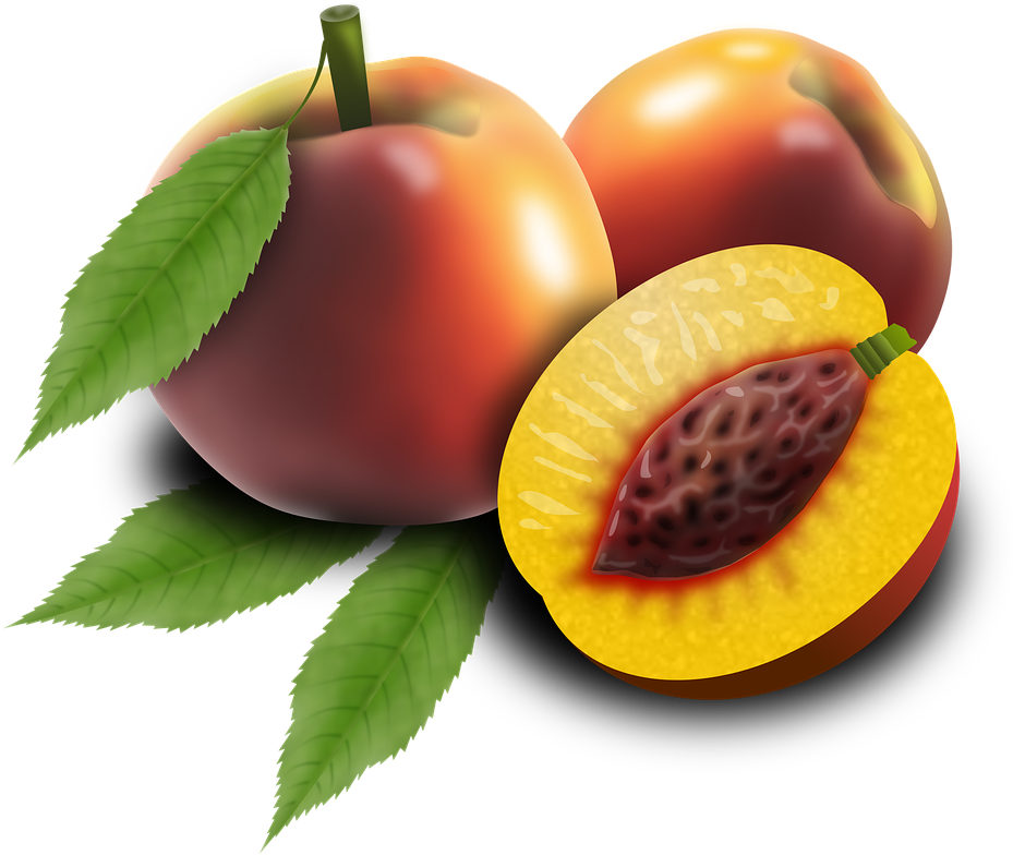 Ripe Peaches With Cross Section PNG Image