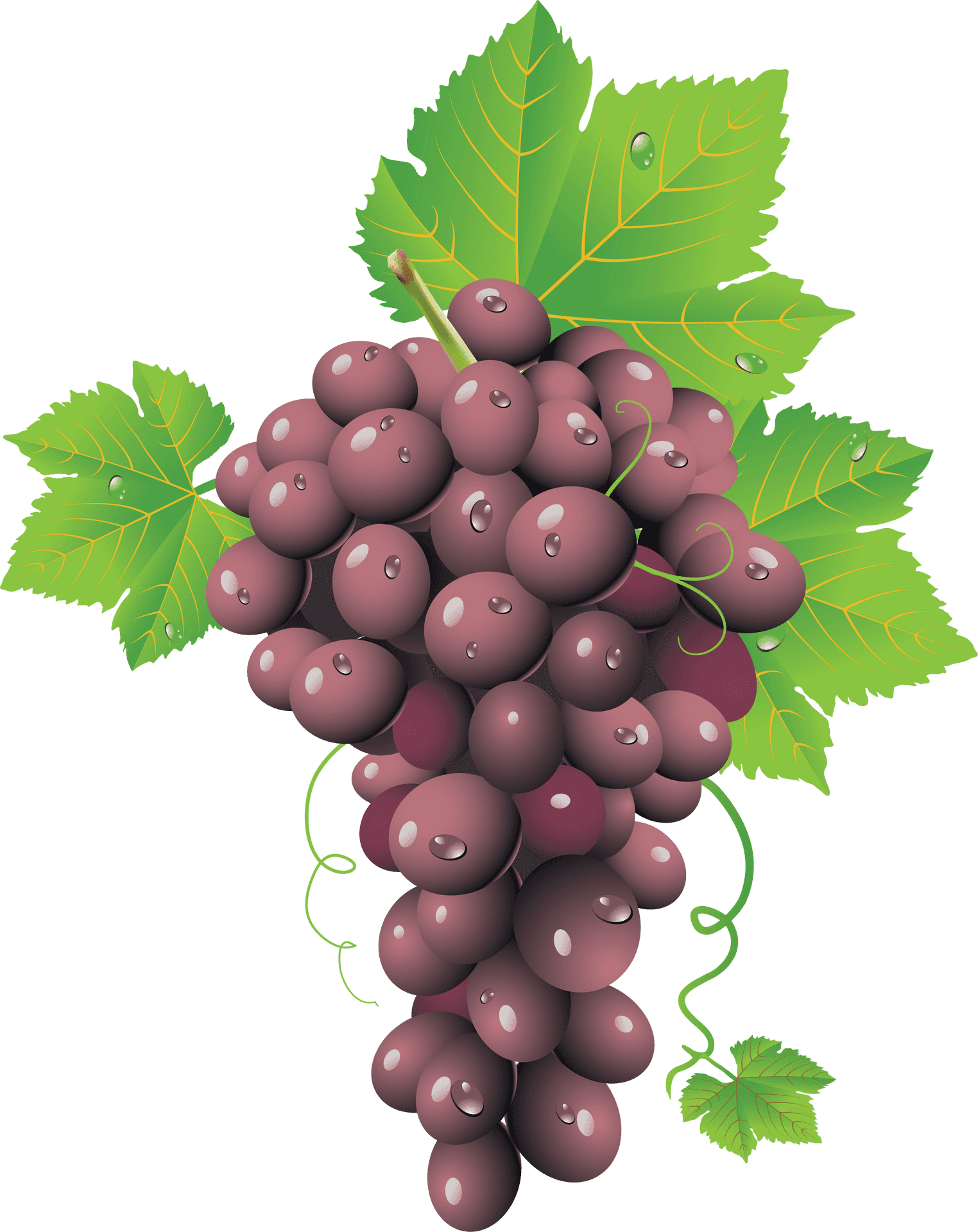 Ripe Red Grape Cluster.png PNG Image