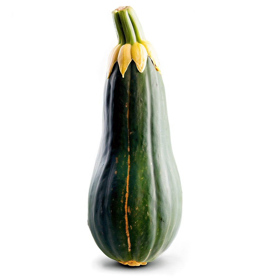 Ripe Squash Png 06122024 PNG Image