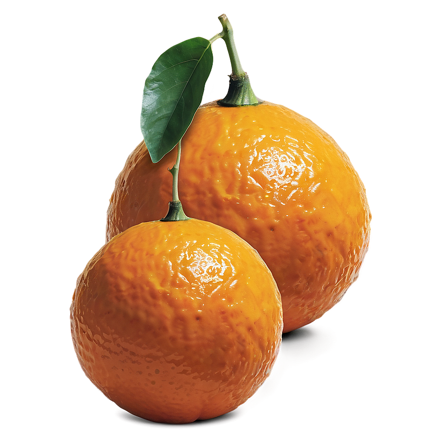 Ripe Tangerine Png Spj8 PNG Image