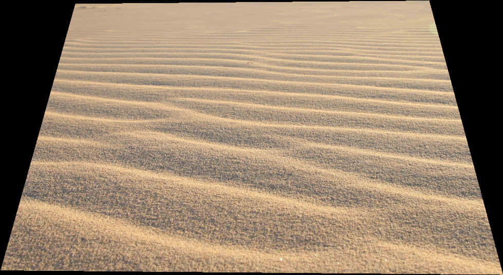 Rippled Sand Dunes Texture PNG Image