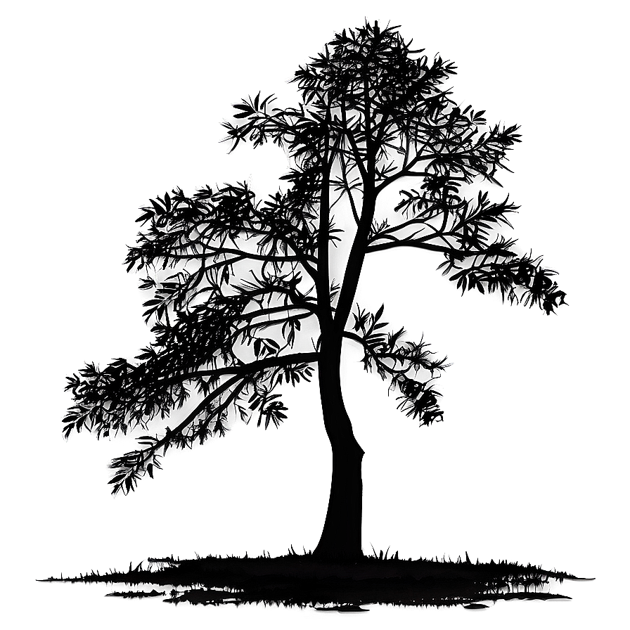 Riverbank Tree Silhouette Png 05252024 PNG Image