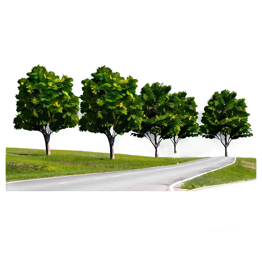 Road With Trees Png Hwu PNG Image