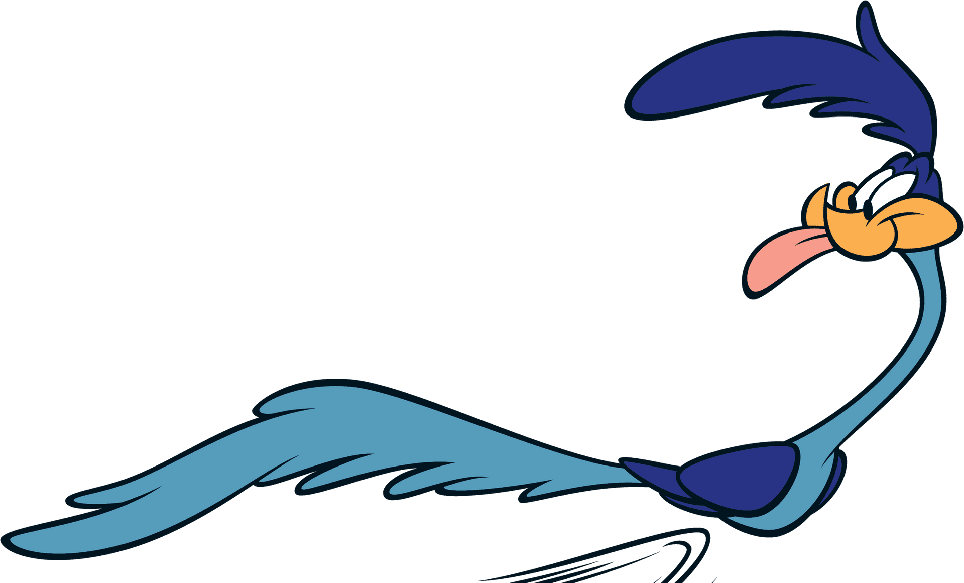 Roadrunner Looney Tunes Character PNG Image