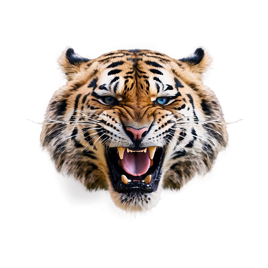 Roaring Anger Png 99 PNG Image