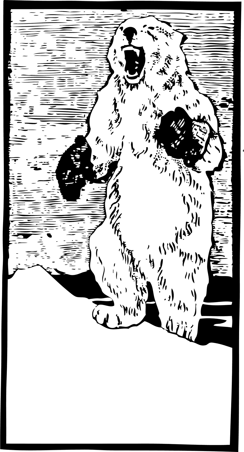 Roaring_ Polar_ Bear_ Graphic PNG Image