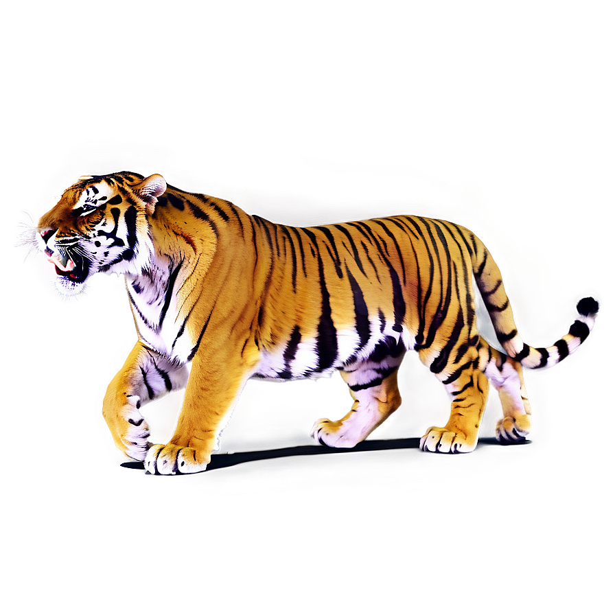 Roaring Tiger Png Ois PNG Image