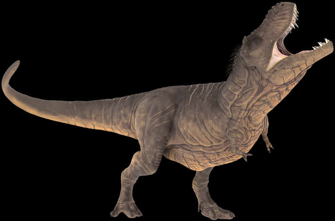 Roaring_ Tyrannosaurus_ Rex_ Transparent_ Background PNG Image