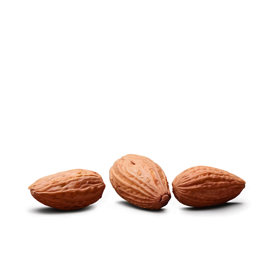 Roasted Almond Png 77 PNG Image