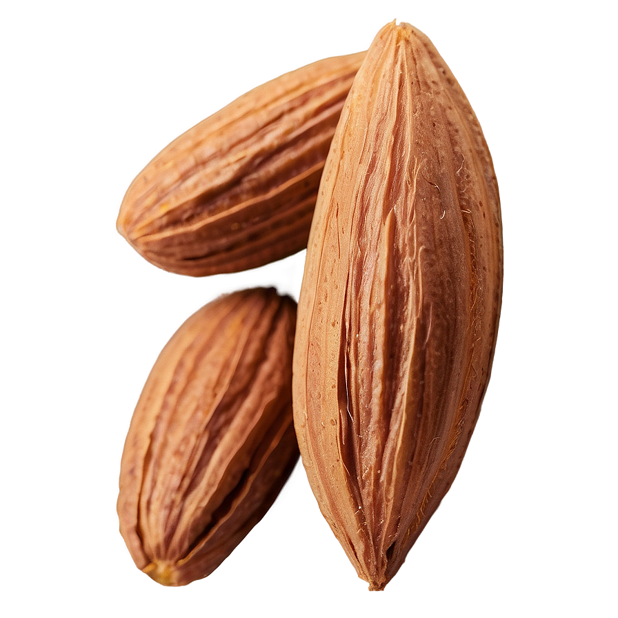 Roasted Almond Png Cud42 PNG Image