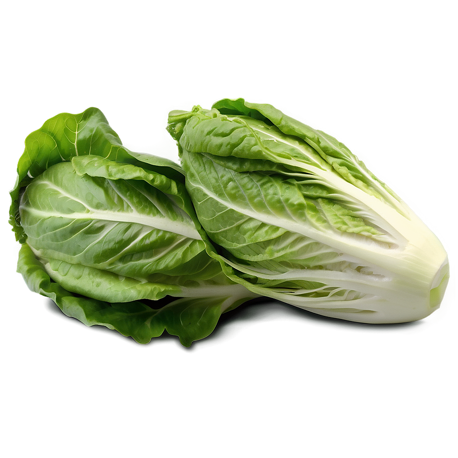 Romaine Lettuce Png 05242024 PNG Image