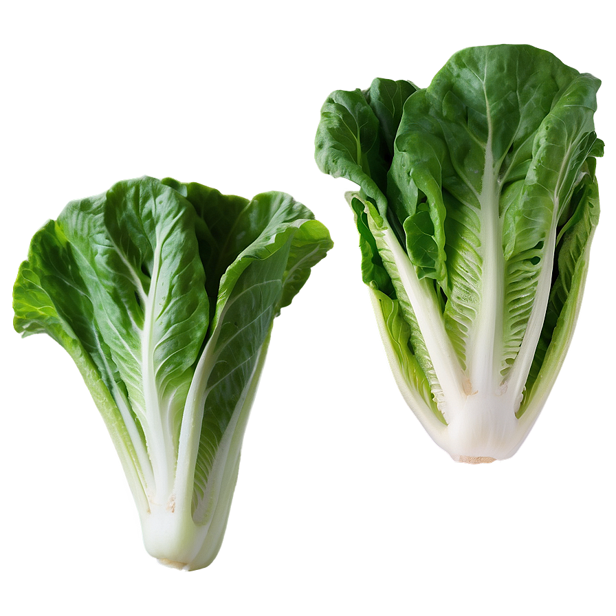 Romaine Lettuce Png 05242024 PNG Image