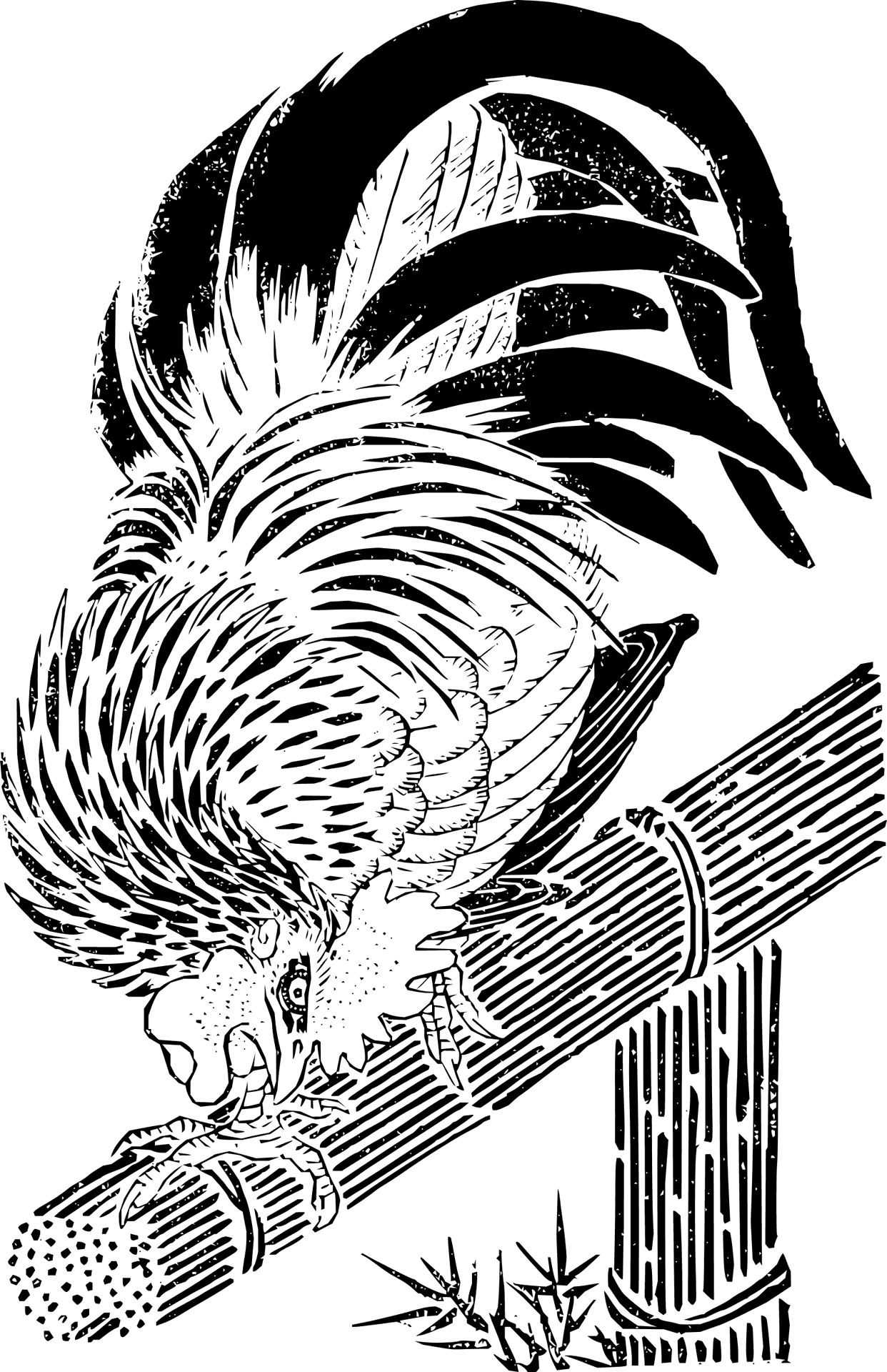 Rooster Sketch Artwork PNG Image