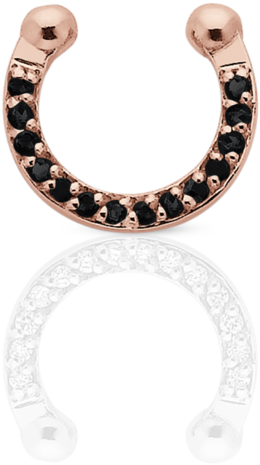 Rose Goldand Silver Nose Rings PNG Image