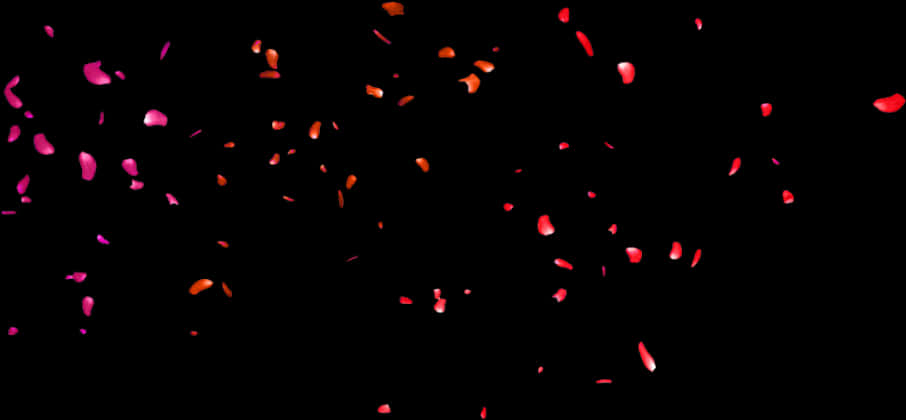 Rose Petals Falling Dark Background PNG Image