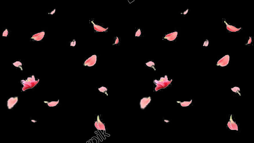 Rose Petals Fallingon Black Background PNG Image