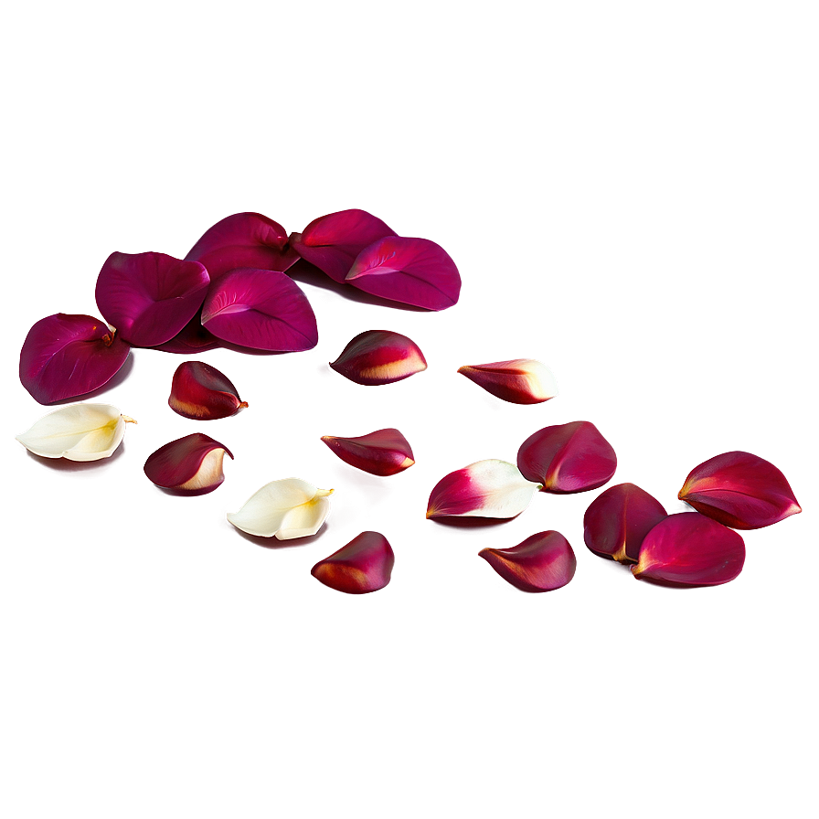 Rose Petals On Bed Png Cjm PNG Image