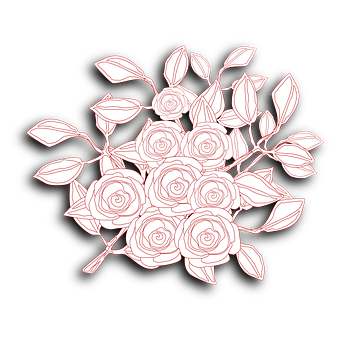 Rose_ Sketch_ Outline_ Vector PNG Image