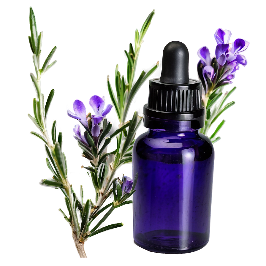 Rosemary Essential Oil Png 43 PNG Image